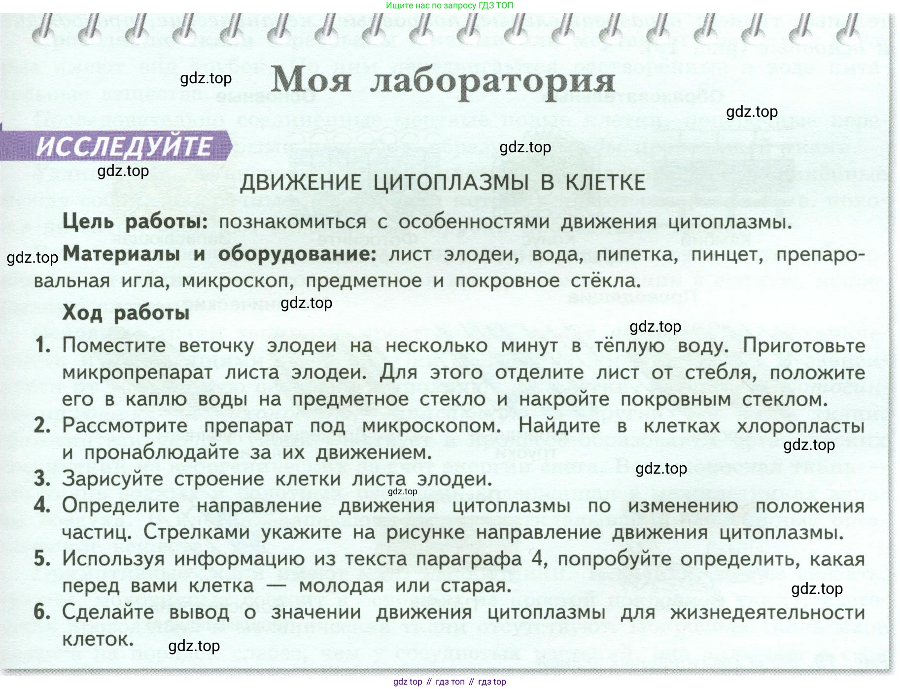 ГДЗ Биология, 6 класс Учебник, авторы: Пасечник Владимир Васильевич, Суматохин Сергей Витальевич, Гапонюк Зоя Георгиевна, Швецов Глеб Геннадьевич, издательство Просвещение, Москва, 2023, белого цвета, страница 29, Условие