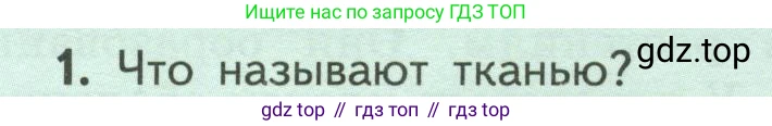 ГДЗ Биология, 6 класс Учебник, авторы: Пасечник Владимир Васильевич, Суматохин Сергей Витальевич, Гапонюк Зоя Георгиевна, Швецов Глеб Геннадьевич, издательство Просвещение, Москва, 2023, белого цвета, страница 32, номер 1, Условие