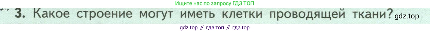ГДЗ Биология, 6 класс Учебник, авторы: Пасечник Владимир Васильевич, Суматохин Сергей Витальевич, Гапонюк Зоя Георгиевна, Швецов Глеб Геннадьевич, издательство Просвещение, Москва, 2023, белого цвета, страница 32, номер 3, Условие