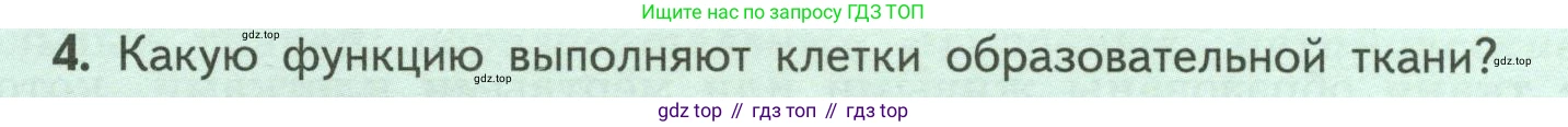 ГДЗ Биология, 6 класс Учебник, авторы: Пасечник Владимир Васильевич, Суматохин Сергей Витальевич, Гапонюк Зоя Георгиевна, Швецов Глеб Геннадьевич, издательство Просвещение, Москва, 2023, белого цвета, страница 32, номер 4, Условие