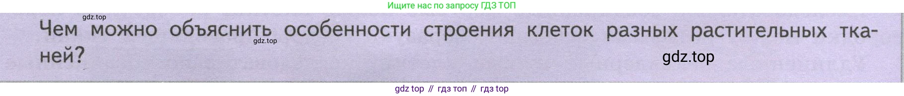 ГДЗ Биология, 6 класс Учебник, авторы: Пасечник Владимир Васильевич, Суматохин Сергей Витальевич, Гапонюк Зоя Георгиевна, Швецов Глеб Геннадьевич, издательство Просвещение, Москва, 2023, белого цвета, страница 32, Условие