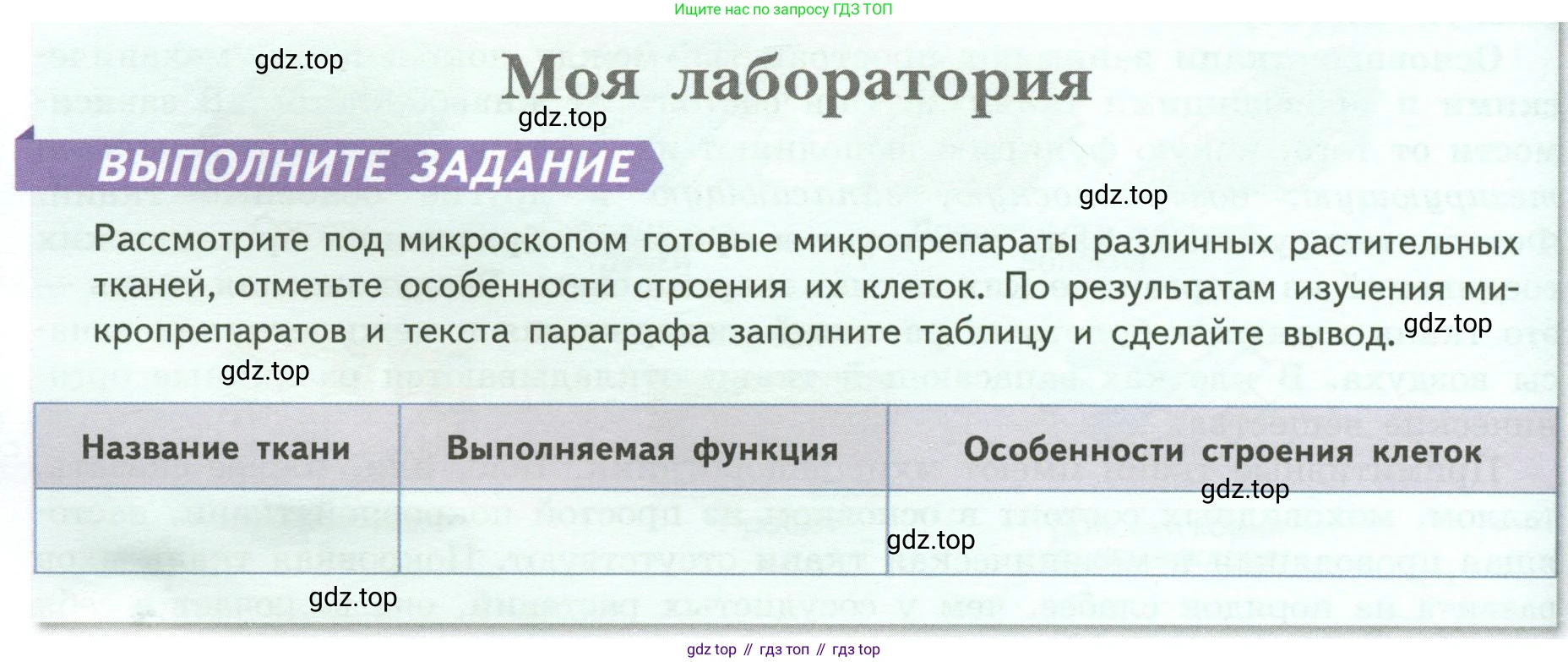ГДЗ Биология, 6 класс Учебник, авторы: Пасечник Владимир Васильевич, Суматохин Сергей Витальевич, Гапонюк Зоя Георгиевна, Швецов Глеб Геннадьевич, издательство Просвещение, Москва, 2023, белого цвета, страница 32, Условие