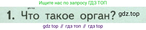 ГДЗ Биология, 6 класс Учебник, авторы: Пасечник Владимир Васильевич, Суматохин Сергей Витальевич, Гапонюк Зоя Георгиевна, Швецов Глеб Геннадьевич, издательство Просвещение, Москва, 2023, белого цвета, страница 37, номер 1, Условие