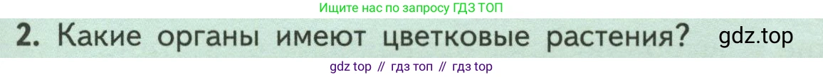 ГДЗ Биология, 6 класс Учебник, авторы: Пасечник Владимир Васильевич, Суматохин Сергей Витальевич, Гапонюк Зоя Георгиевна, Швецов Глеб Геннадьевич, издательство Просвещение, Москва, 2023, белого цвета, страница 37, номер 2, Условие