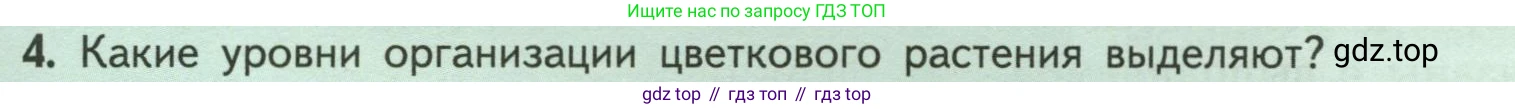 ГДЗ Биология, 6 класс Учебник, авторы: Пасечник Владимир Васильевич, Суматохин Сергей Витальевич, Гапонюк Зоя Георгиевна, Швецов Глеб Геннадьевич, издательство Просвещение, Москва, 2023, белого цвета, страница 37, номер 4, Условие