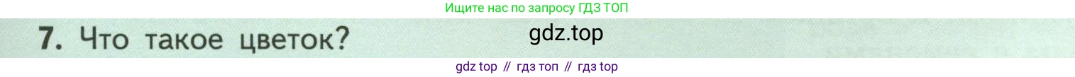ГДЗ Биология, 6 класс Учебник, авторы: Пасечник Владимир Васильевич, Суматохин Сергей Витальевич, Гапонюк Зоя Георгиевна, Швецов Глеб Геннадьевич, издательство Просвещение, Москва, 2023, белого цвета, страница 37, номер 7, Условие