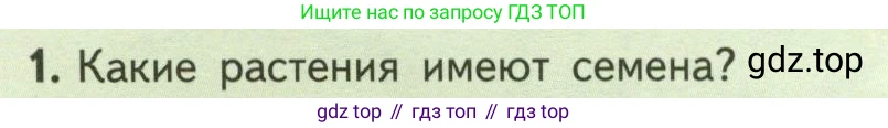 ГДЗ Биология, 6 класс Учебник, авторы: Пасечник Владимир Васильевич, Суматохин Сергей Витальевич, Гапонюк Зоя Георгиевна, Швецов Глеб Геннадьевич, издательство Просвещение, Москва, 2023, белого цвета, страница 40, номер 1, Условие