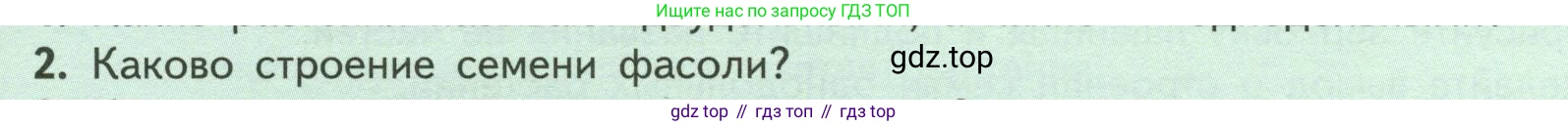 ГДЗ Биология, 6 класс Учебник, авторы: Пасечник Владимир Васильевич, Суматохин Сергей Витальевич, Гапонюк Зоя Георгиевна, Швецов Глеб Геннадьевич, издательство Просвещение, Москва, 2023, белого цвета, страница 41, номер 2, Условие