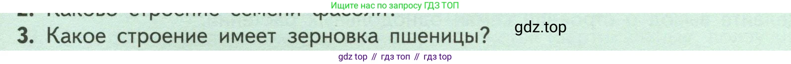 ГДЗ Биология, 6 класс Учебник, авторы: Пасечник Владимир Васильевич, Суматохин Сергей Витальевич, Гапонюк Зоя Георгиевна, Швецов Глеб Геннадьевич, издательство Просвещение, Москва, 2023, белого цвета, страница 41, номер 3, Условие