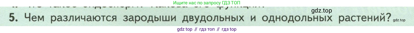 ГДЗ Биология, 6 класс Учебник, авторы: Пасечник Владимир Васильевич, Суматохин Сергей Витальевич, Гапонюк Зоя Георгиевна, Швецов Глеб Геннадьевич, издательство Просвещение, Москва, 2023, белого цвета, страница 41, номер 5, Условие