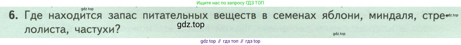 ГДЗ Биология, 6 класс Учебник, авторы: Пасечник Владимир Васильевич, Суматохин Сергей Витальевич, Гапонюк Зоя Георгиевна, Швецов Глеб Геннадьевич, издательство Просвещение, Москва, 2023, белого цвета, страница 41, номер 6, Условие