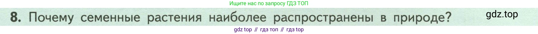 ГДЗ Биология, 6 класс Учебник, авторы: Пасечник Владимир Васильевич, Суматохин Сергей Витальевич, Гапонюк Зоя Георгиевна, Швецов Глеб Геннадьевич, издательство Просвещение, Москва, 2023, белого цвета, страница 41, номер 8, Условие