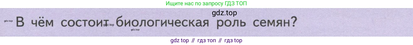 ГДЗ Биология, 6 класс Учебник, авторы: Пасечник Владимир Васильевич, Суматохин Сергей Витальевич, Гапонюк Зоя Георгиевна, Швецов Глеб Геннадьевич, издательство Просвещение, Москва, 2023, белого цвета, страница 41, Условие