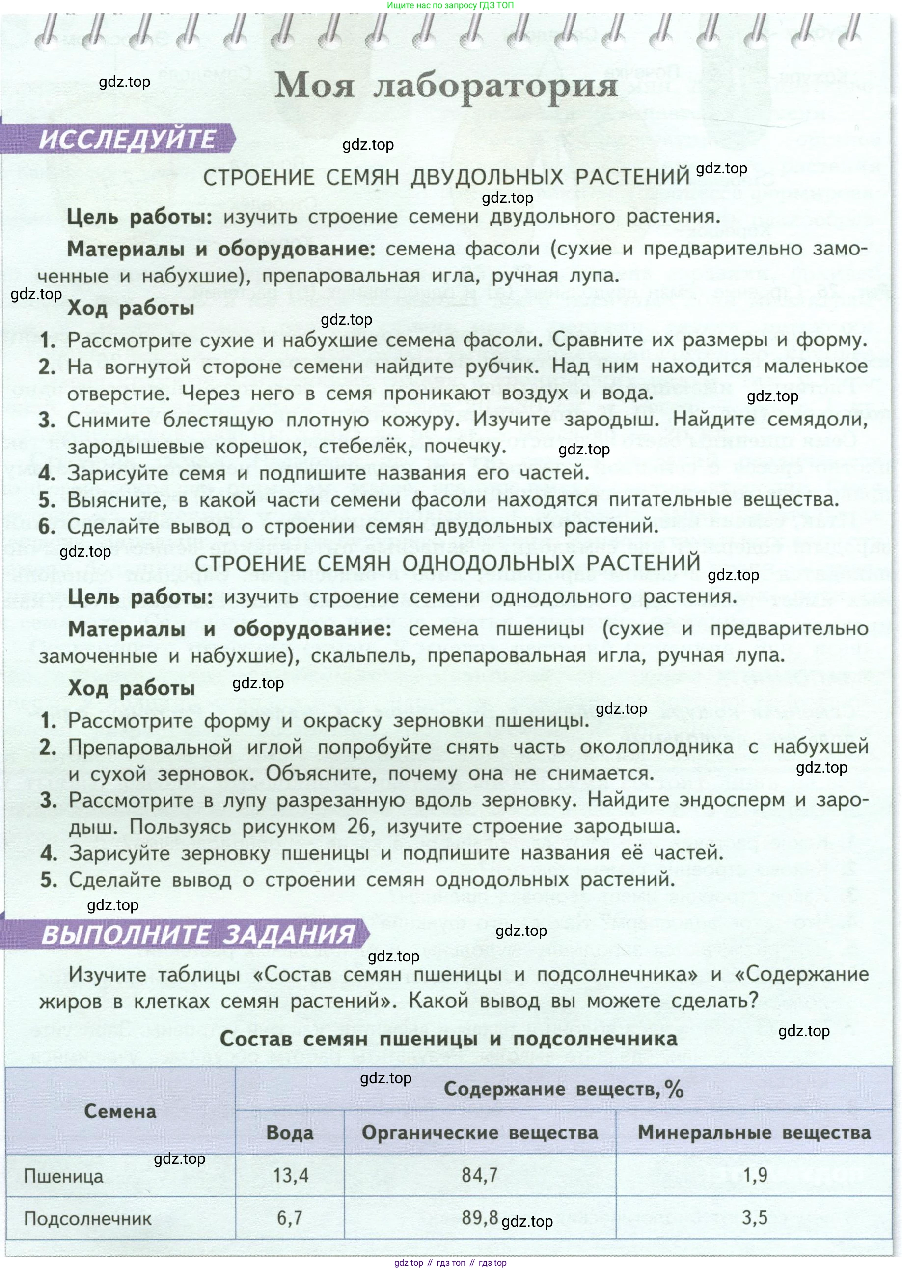 ГДЗ Биология, 6 класс Учебник, авторы: Пасечник Владимир Васильевич, Суматохин Сергей Витальевич, Гапонюк Зоя Георгиевна, Швецов Глеб Геннадьевич, издательство Просвещение, Москва, 2023, белого цвета, страница 42, Условие