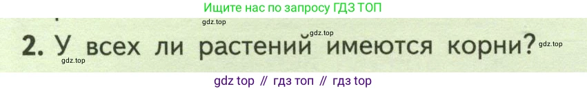 ГДЗ Биология, 6 класс Учебник, авторы: Пасечник Владимир Васильевич, Суматохин Сергей Витальевич, Гапонюк Зоя Георгиевна, Швецов Глеб Геннадьевич, издательство Просвещение, Москва, 2023, белого цвета, страница 44, номер 2, Условие