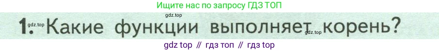 ГДЗ Биология, 6 класс Учебник, авторы: Пасечник Владимир Васильевич, Суматохин Сергей Витальевич, Гапонюк Зоя Георгиевна, Швецов Глеб Геннадьевич, издательство Просвещение, Москва, 2023, белого цвета, страница 46, номер 1, Условие