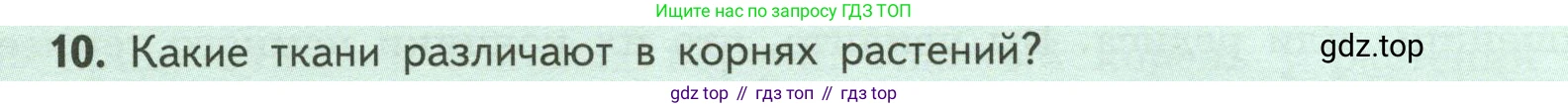 ГДЗ Биология, 6 класс Учебник, авторы: Пасечник Владимир Васильевич, Суматохин Сергей Витальевич, Гапонюк Зоя Георгиевна, Швецов Глеб Геннадьевич, издательство Просвещение, Москва, 2023, белого цвета, страница 46, номер 10, Условие