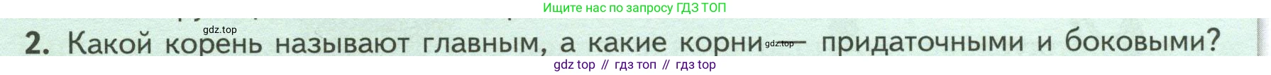 ГДЗ Биология, 6 класс Учебник, авторы: Пасечник Владимир Васильевич, Суматохин Сергей Витальевич, Гапонюк Зоя Георгиевна, Швецов Глеб Геннадьевич, издательство Просвещение, Москва, 2023, белого цвета, страница 46, номер 2, Условие