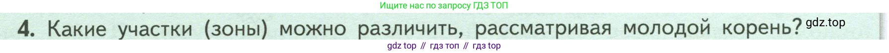 ГДЗ Биология, 6 класс Учебник, авторы: Пасечник Владимир Васильевич, Суматохин Сергей Витальевич, Гапонюк Зоя Георгиевна, Швецов Глеб Геннадьевич, издательство Просвещение, Москва, 2023, белого цвета, страница 46, номер 4, Условие