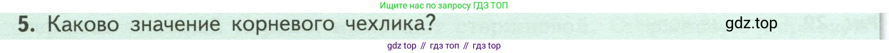 ГДЗ Биология, 6 класс Учебник, авторы: Пасечник Владимир Васильевич, Суматохин Сергей Витальевич, Гапонюк Зоя Георгиевна, Швецов Глеб Геннадьевич, издательство Просвещение, Москва, 2023, белого цвета, страница 46, номер 5, Условие