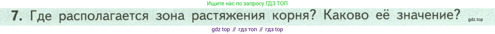 ГДЗ Биология, 6 класс Учебник, авторы: Пасечник Владимир Васильевич, Суматохин Сергей Витальевич, Гапонюк Зоя Георгиевна, Швецов Глеб Геннадьевич, издательство Просвещение, Москва, 2023, белого цвета, страница 46, номер 7, Условие