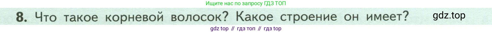 ГДЗ Биология, 6 класс Учебник, авторы: Пасечник Владимир Васильевич, Суматохин Сергей Витальевич, Гапонюк Зоя Георгиевна, Швецов Глеб Геннадьевич, издательство Просвещение, Москва, 2023, белого цвета, страница 46, номер 8, Условие