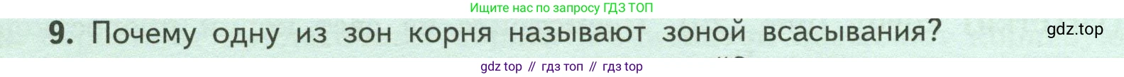 ГДЗ Биология, 6 класс Учебник, авторы: Пасечник Владимир Васильевич, Суматохин Сергей Витальевич, Гапонюк Зоя Георгиевна, Швецов Глеб Геннадьевич, издательство Просвещение, Москва, 2023, белого цвета, страница 46, номер 9, Условие