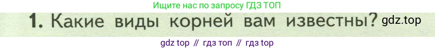 ГДЗ Биология, 6 класс Учебник, авторы: Пасечник Владимир Васильевич, Суматохин Сергей Витальевич, Гапонюк Зоя Георгиевна, Швецов Глеб Геннадьевич, издательство Просвещение, Москва, 2023, белого цвета, страница 50, номер 1, Условие