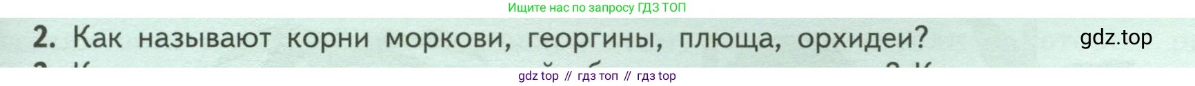 ГДЗ Биология, 6 класс Учебник, авторы: Пасечник Владимир Васильевич, Суматохин Сергей Витальевич, Гапонюк Зоя Георгиевна, Швецов Глеб Геннадьевич, издательство Просвещение, Москва, 2023, белого цвета, страница 51, номер 2, Условие