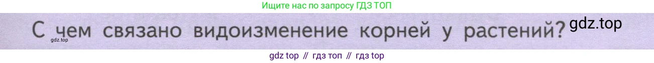 ГДЗ Биология, 6 класс Учебник, авторы: Пасечник Владимир Васильевич, Суматохин Сергей Витальевич, Гапонюк Зоя Георгиевна, Швецов Глеб Геннадьевич, издательство Просвещение, Москва, 2023, белого цвета, страница 51, Условие