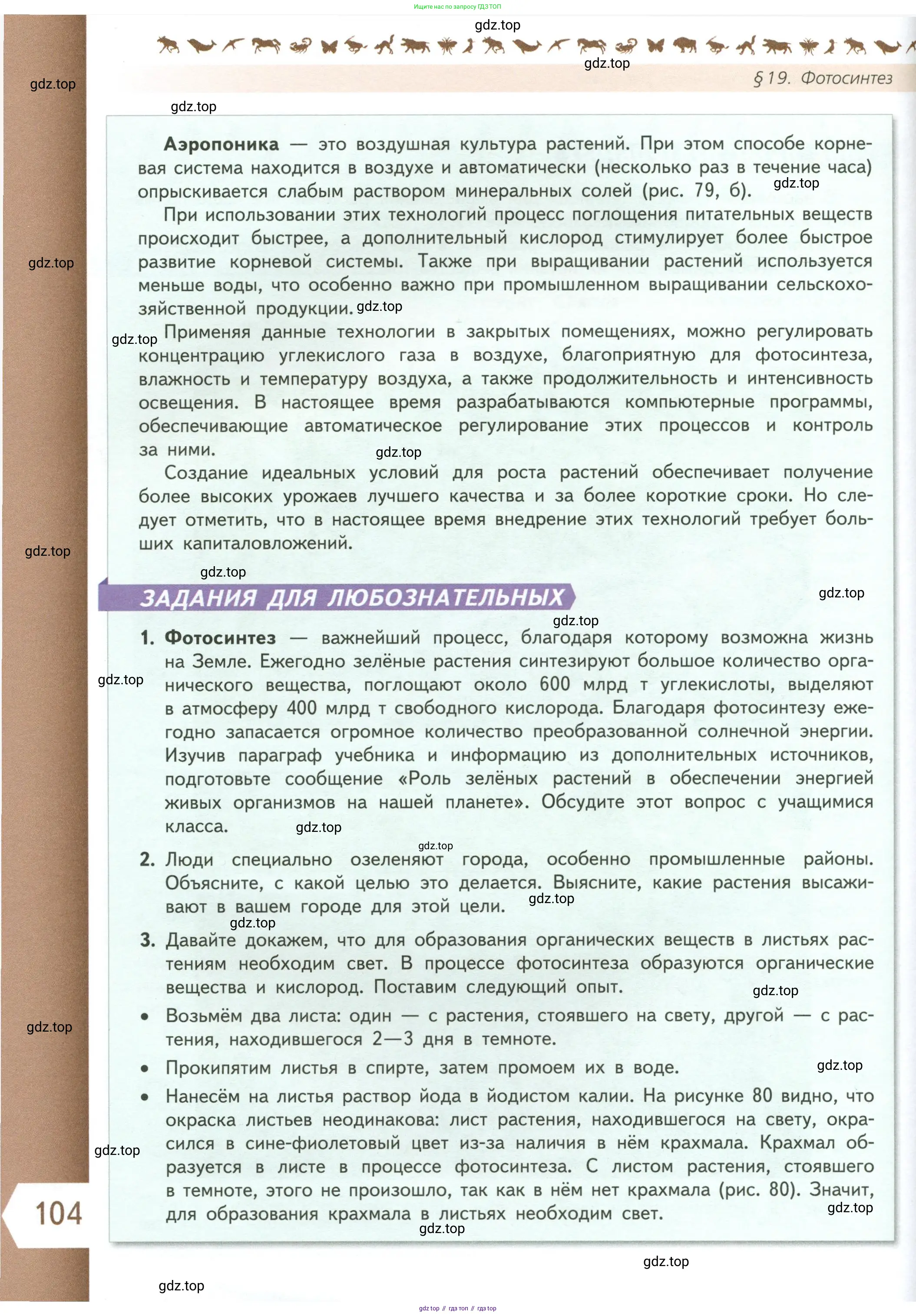 Биология, 6 класс Учебник, авторы: Пасечник Владимир Васильевич, Суматохин Сергей Витальевич, Гапонюк Зоя Георгиевна, Швецов Глеб Геннадьевич, издательство Просвещение, Москва, 2023, белого цвета, страница 104