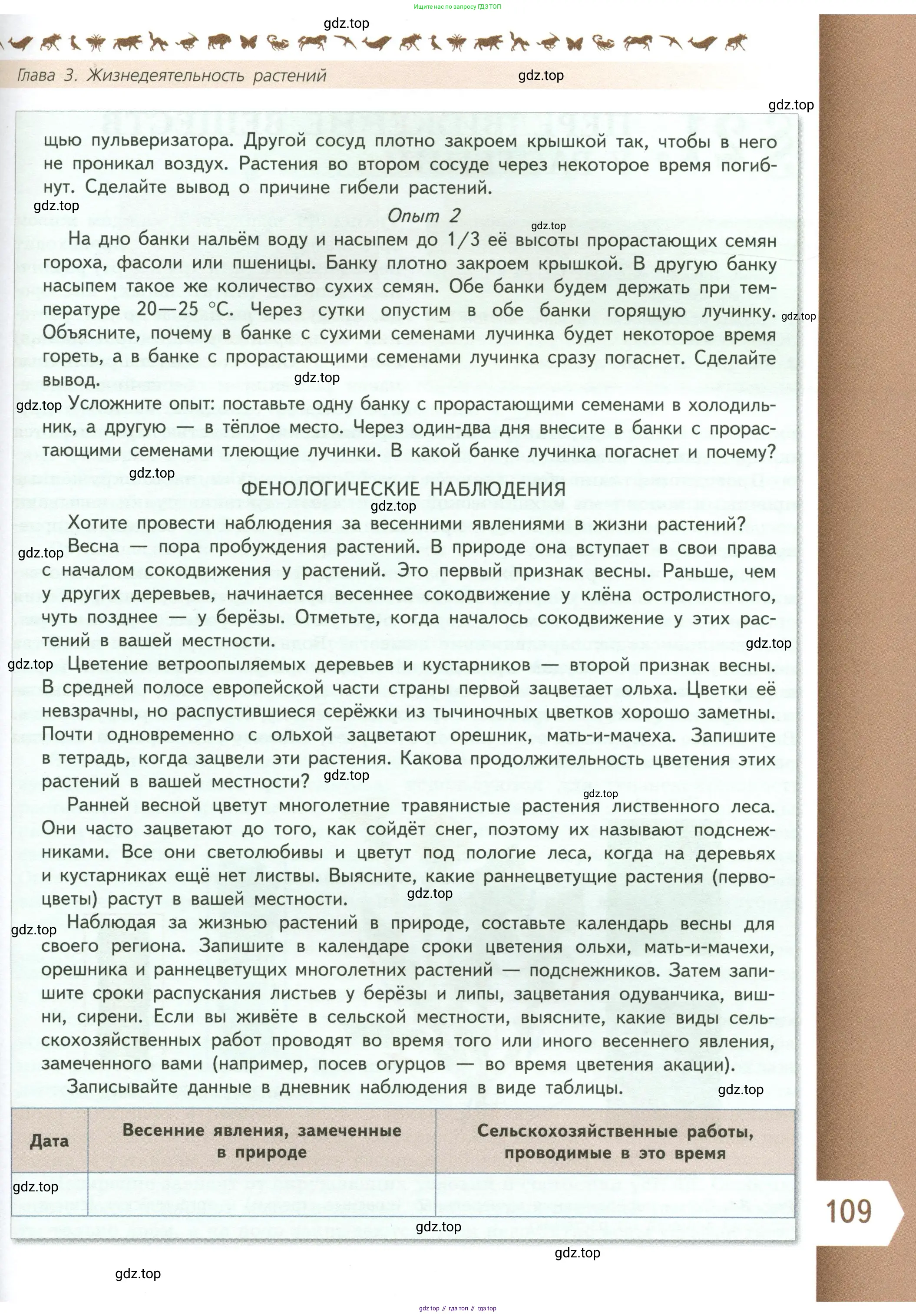 Биология, 6 класс Учебник, авторы: Пасечник Владимир Васильевич, Суматохин Сергей Витальевич, Гапонюк Зоя Георгиевна, Швецов Глеб Геннадьевич, издательство Просвещение, Москва, 2023, белого цвета, страница 109
