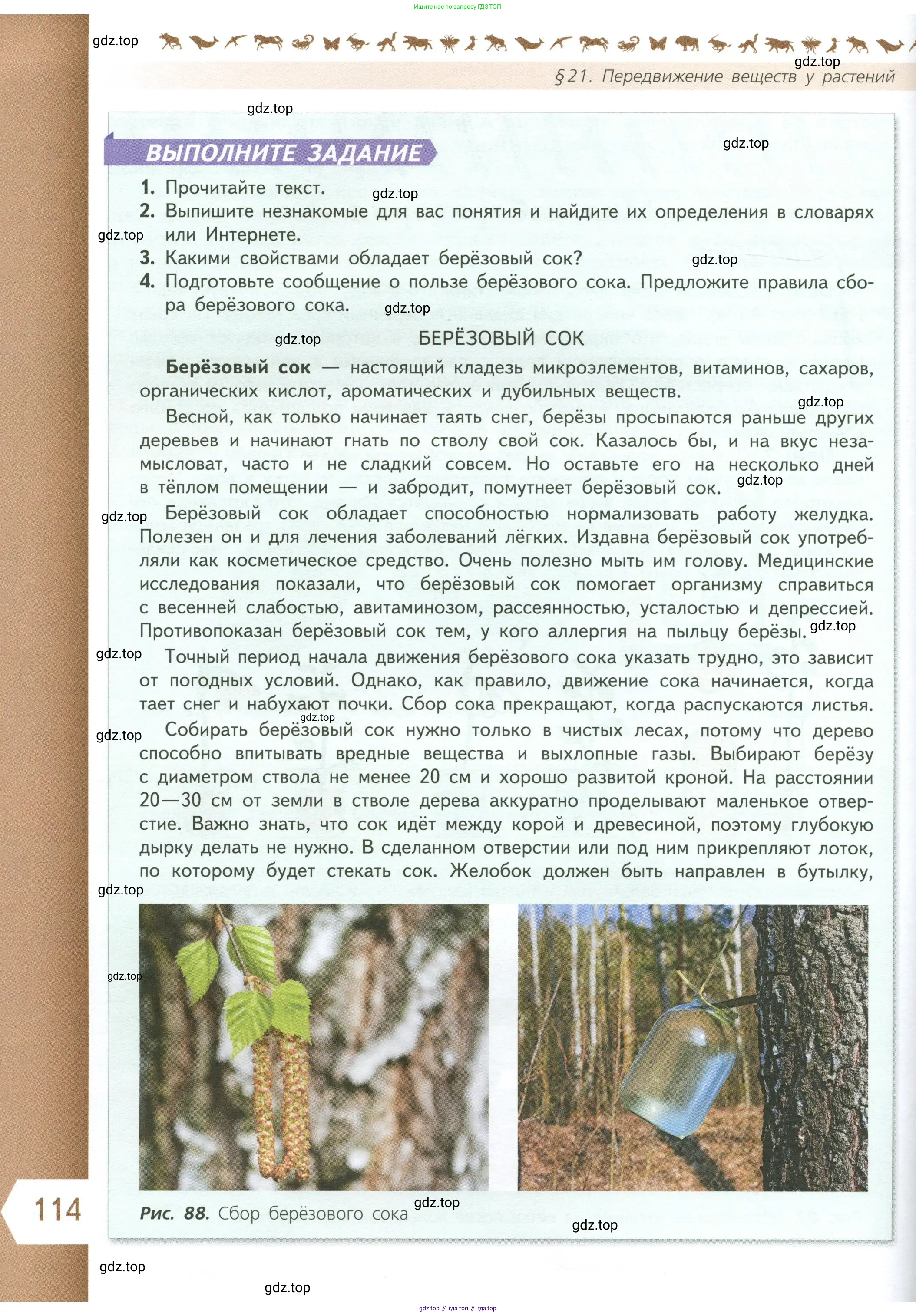 Биология, 6 класс Учебник, авторы: Пасечник Владимир Васильевич, Суматохин Сергей Витальевич, Гапонюк Зоя Георгиевна, Швецов Глеб Геннадьевич, издательство Просвещение, Москва, 2023, белого цвета, страница 114