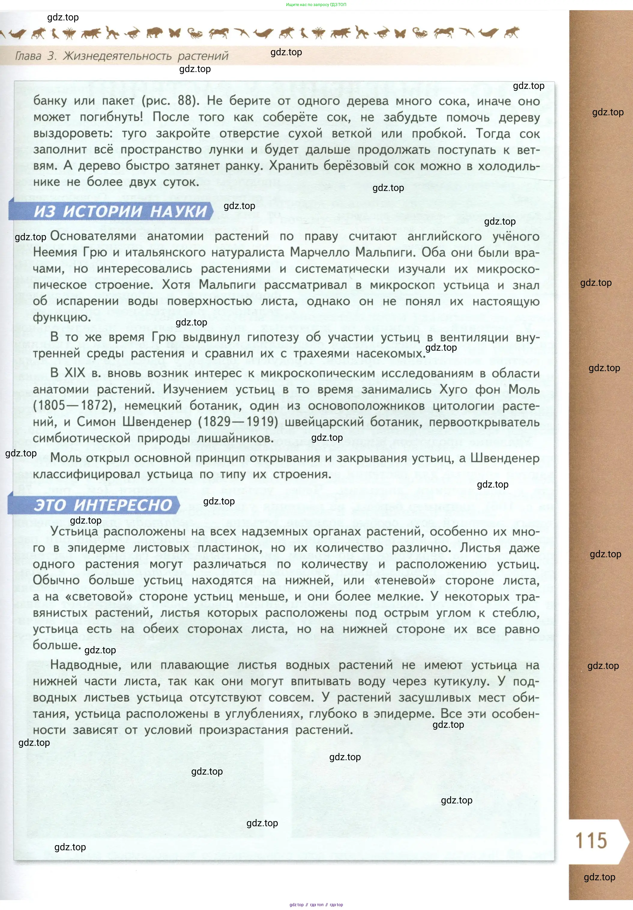Биология, 6 класс Учебник, авторы: Пасечник Владимир Васильевич, Суматохин Сергей Витальевич, Гапонюк Зоя Георгиевна, Швецов Глеб Геннадьевич, издательство Просвещение, Москва, 2023, белого цвета, страница 115