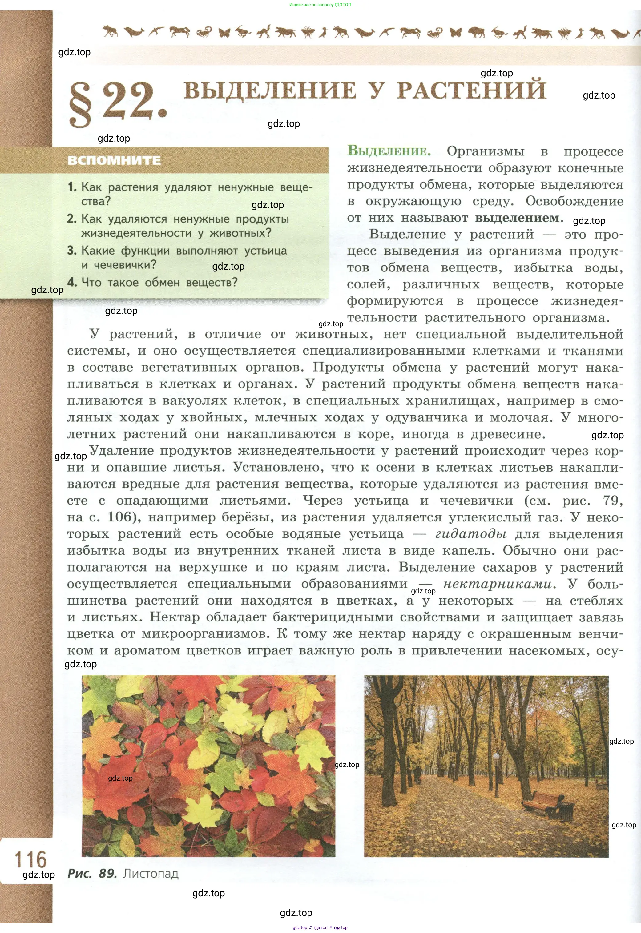 Биология, 6 класс Учебник, авторы: Пасечник Владимир Васильевич, Суматохин Сергей Витальевич, Гапонюк Зоя Георгиевна, Швецов Глеб Геннадьевич, издательство Просвещение, Москва, 2023, белого цвета, страница 116