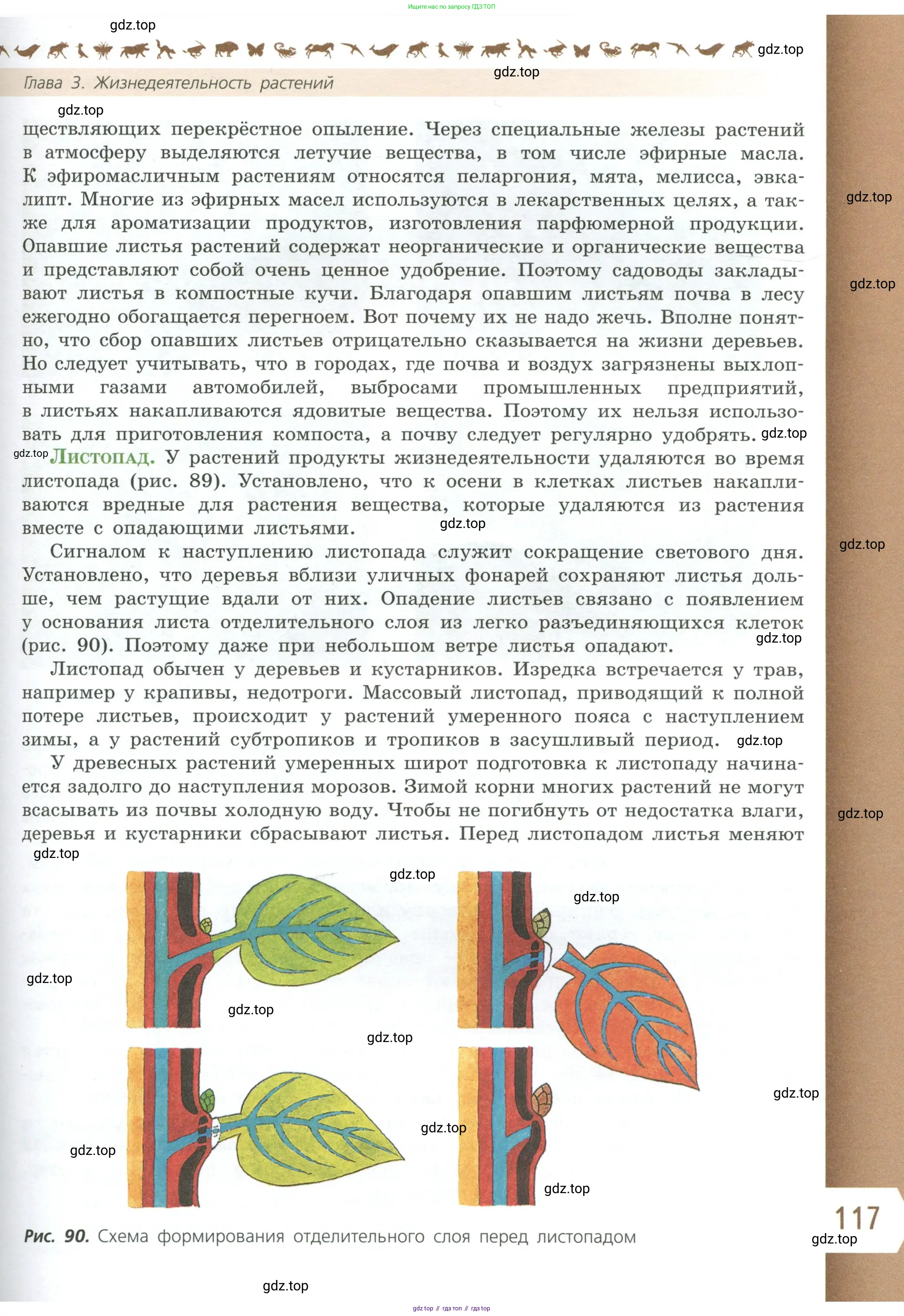 Биология, 6 класс Учебник, авторы: Пасечник Владимир Васильевич, Суматохин Сергей Витальевич, Гапонюк Зоя Георгиевна, Швецов Глеб Геннадьевич, издательство Просвещение, Москва, 2023, белого цвета, страница 117
