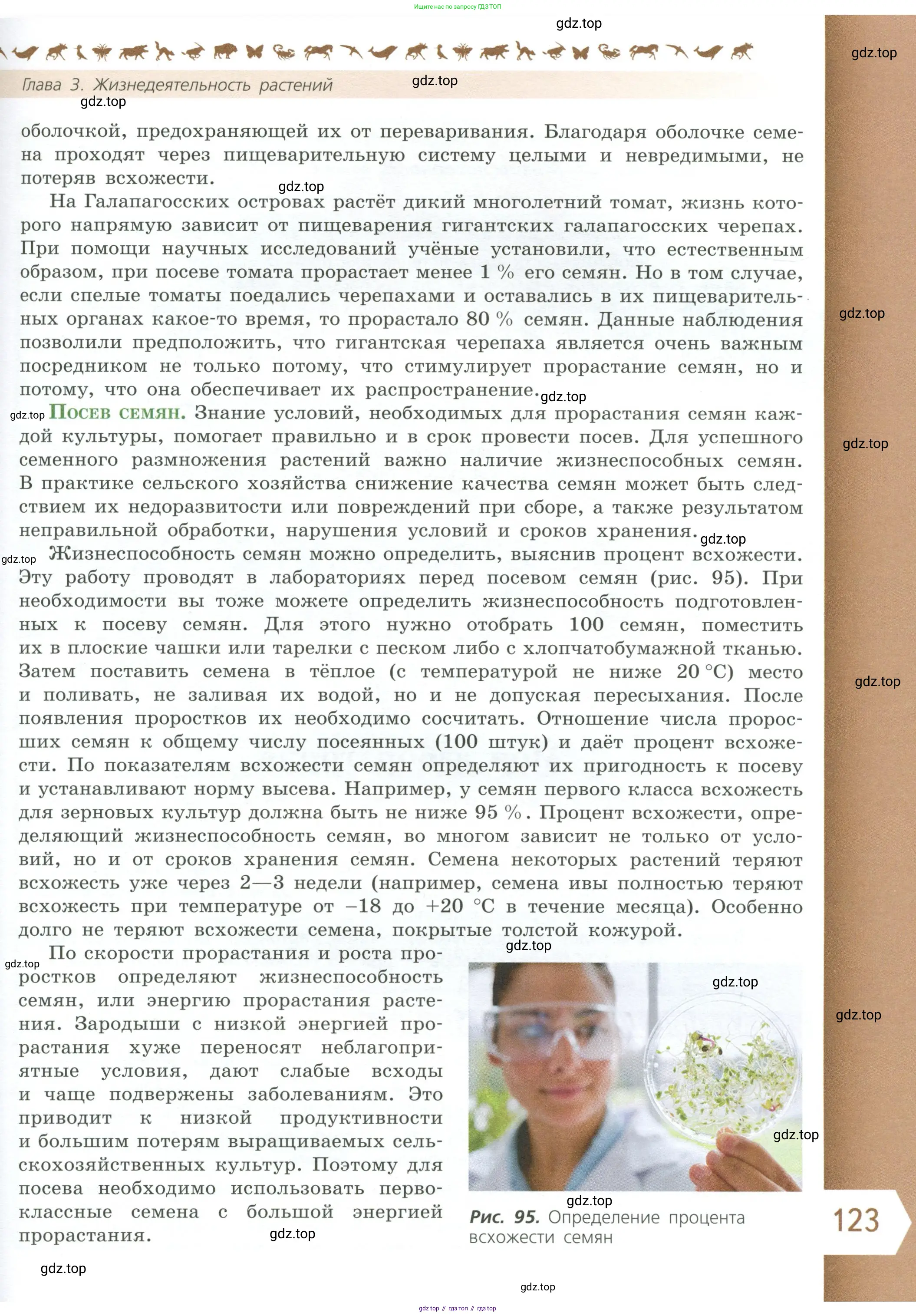 Биология, 6 класс Учебник, авторы: Пасечник Владимир Васильевич, Суматохин Сергей Витальевич, Гапонюк Зоя Георгиевна, Швецов Глеб Геннадьевич, издательство Просвещение, Москва, 2023, белого цвета, страница 123