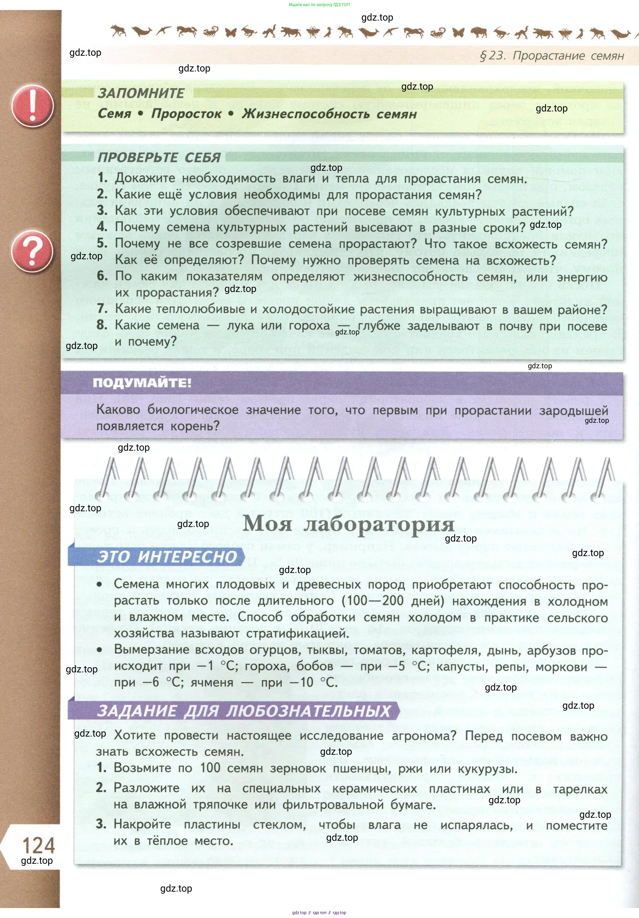 Биология, 6 класс Учебник, авторы: Пасечник Владимир Васильевич, Суматохин Сергей Витальевич, Гапонюк Зоя Георгиевна, Швецов Глеб Геннадьевич, издательство Просвещение, Москва, 2023, белого цвета, страница 124