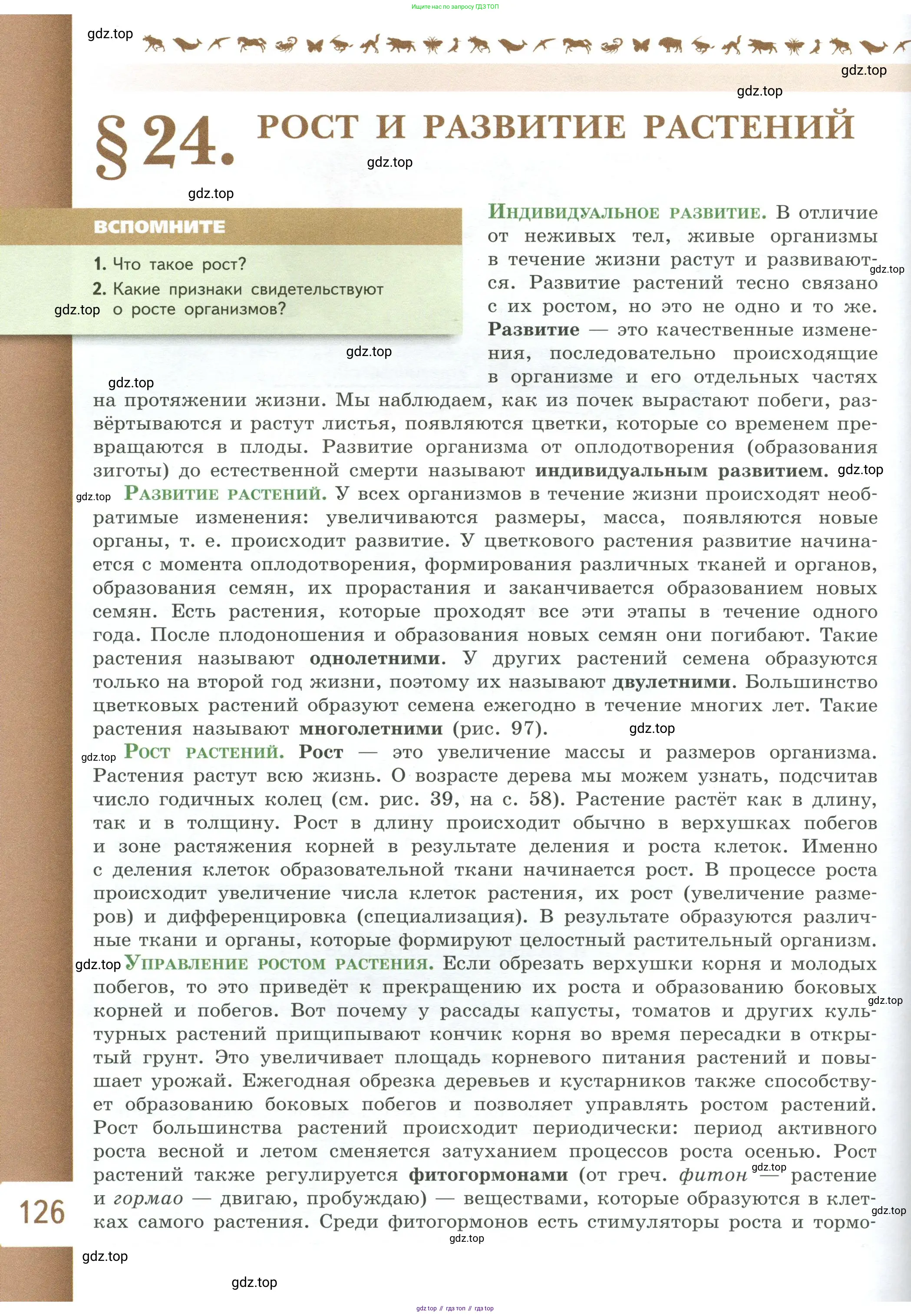 Биология, 6 класс Учебник, авторы: Пасечник Владимир Васильевич, Суматохин Сергей Витальевич, Гапонюк Зоя Георгиевна, Швецов Глеб Геннадьевич, издательство Просвещение, Москва, 2023, белого цвета, страница 126
