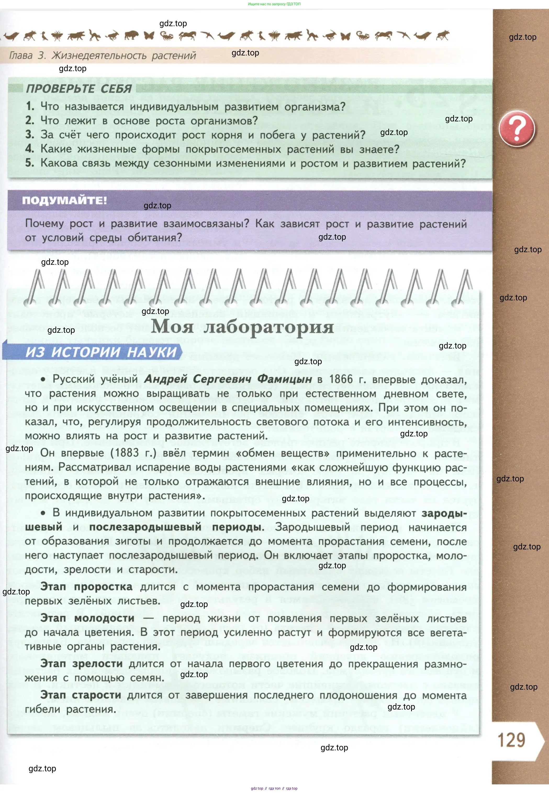 Биология, 6 класс Учебник, авторы: Пасечник Владимир Васильевич, Суматохин Сергей Витальевич, Гапонюк Зоя Георгиевна, Швецов Глеб Геннадьевич, издательство Просвещение, Москва, 2023, белого цвета, страница 129