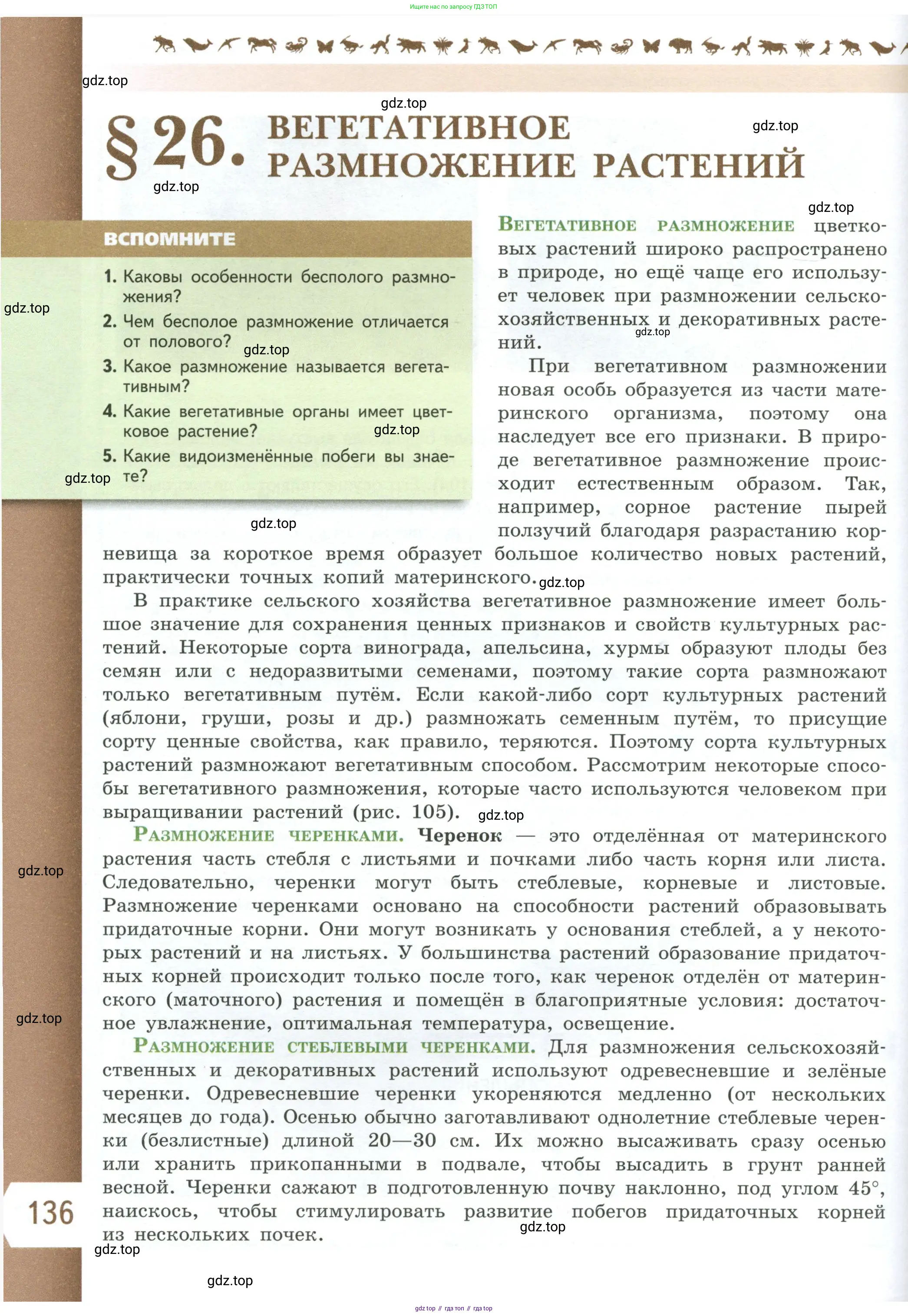 Биология, 6 класс Учебник, авторы: Пасечник Владимир Васильевич, Суматохин Сергей Витальевич, Гапонюк Зоя Георгиевна, Швецов Глеб Геннадьевич, издательство Просвещение, Москва, 2023, белого цвета, страница 136