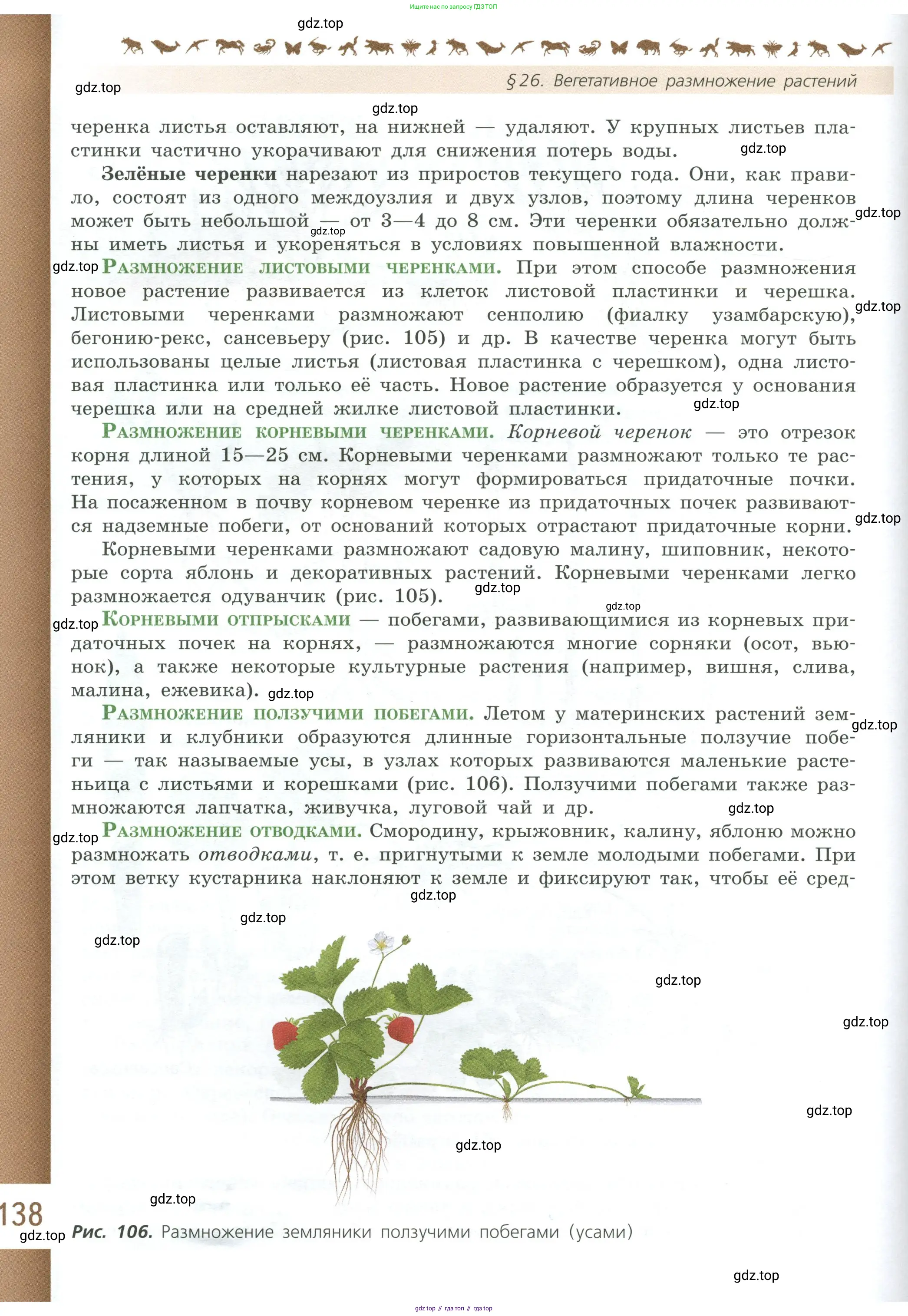 Биология, 6 класс Учебник, авторы: Пасечник Владимир Васильевич, Суматохин Сергей Витальевич, Гапонюк Зоя Георгиевна, Швецов Глеб Геннадьевич, издательство Просвещение, Москва, 2023, белого цвета, страница 138