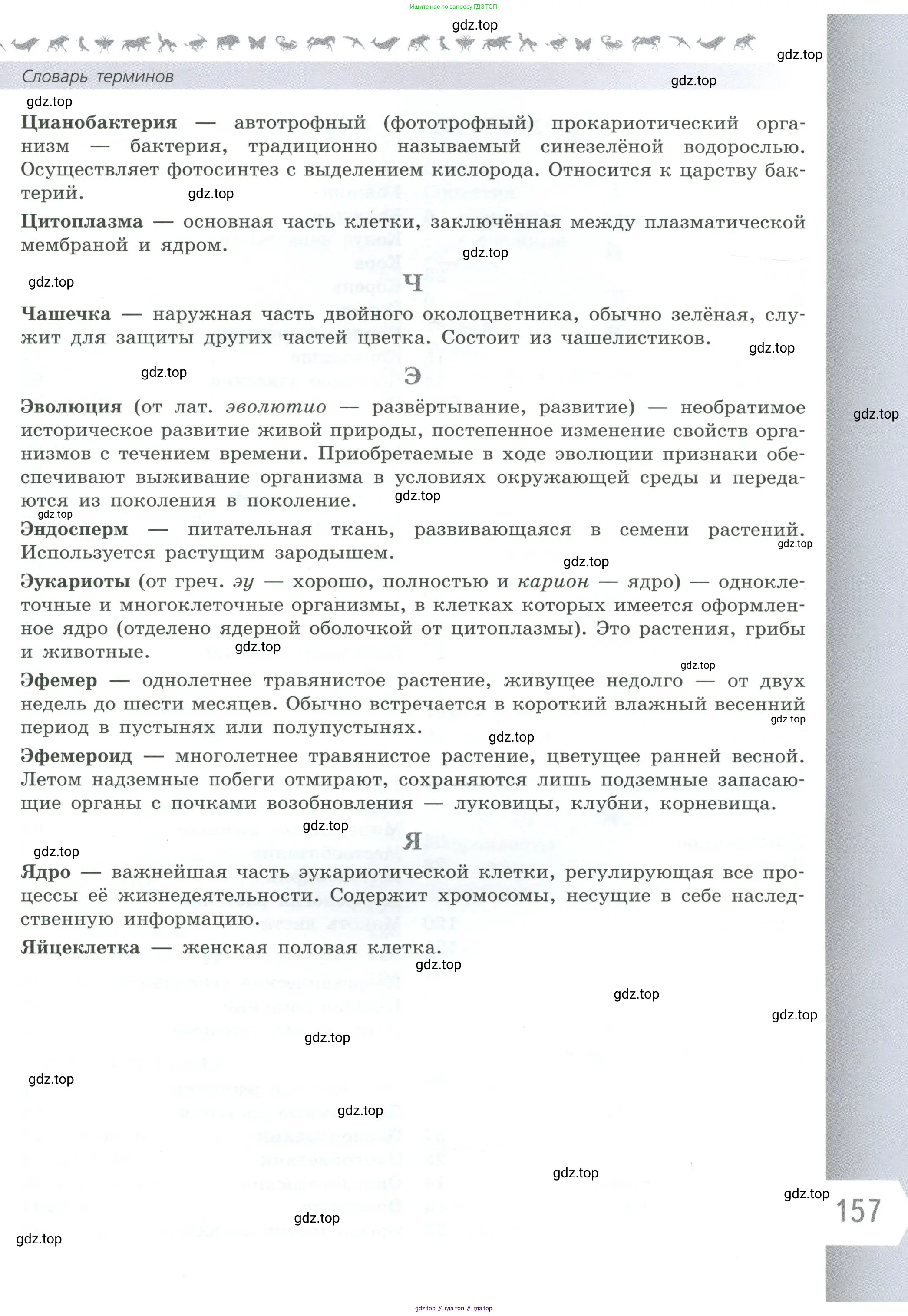 Биология, 6 класс Учебник, авторы: Пасечник Владимир Васильевич, Суматохин Сергей Витальевич, Гапонюк Зоя Георгиевна, Швецов Глеб Геннадьевич, издательство Просвещение, Москва, 2023, белого цвета, страница 157