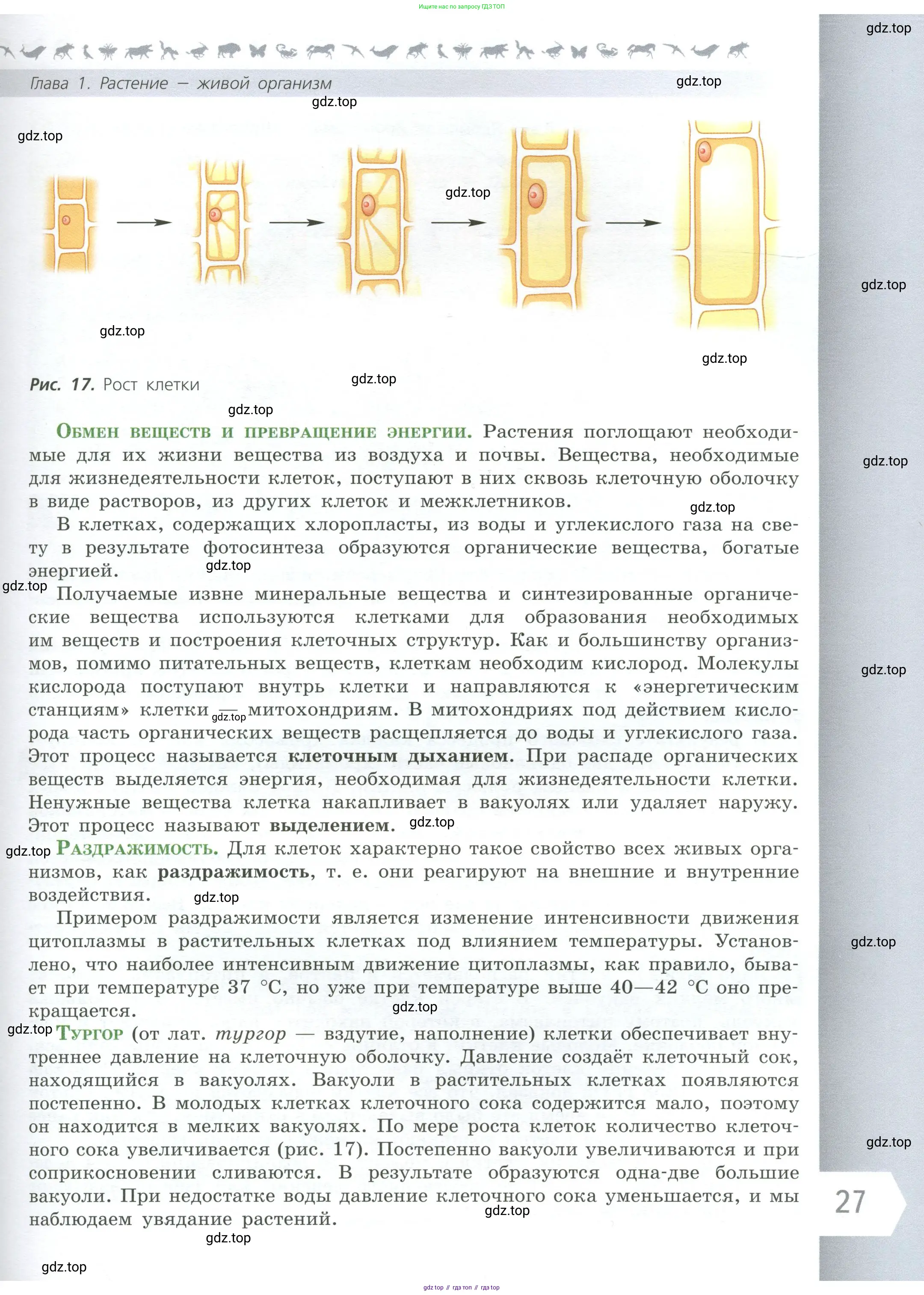 Биология, 6 класс Учебник, авторы: Пасечник Владимир Васильевич, Суматохин Сергей Витальевич, Гапонюк Зоя Георгиевна, Швецов Глеб Геннадьевич, издательство Просвещение, Москва, 2023, белого цвета, страница 27