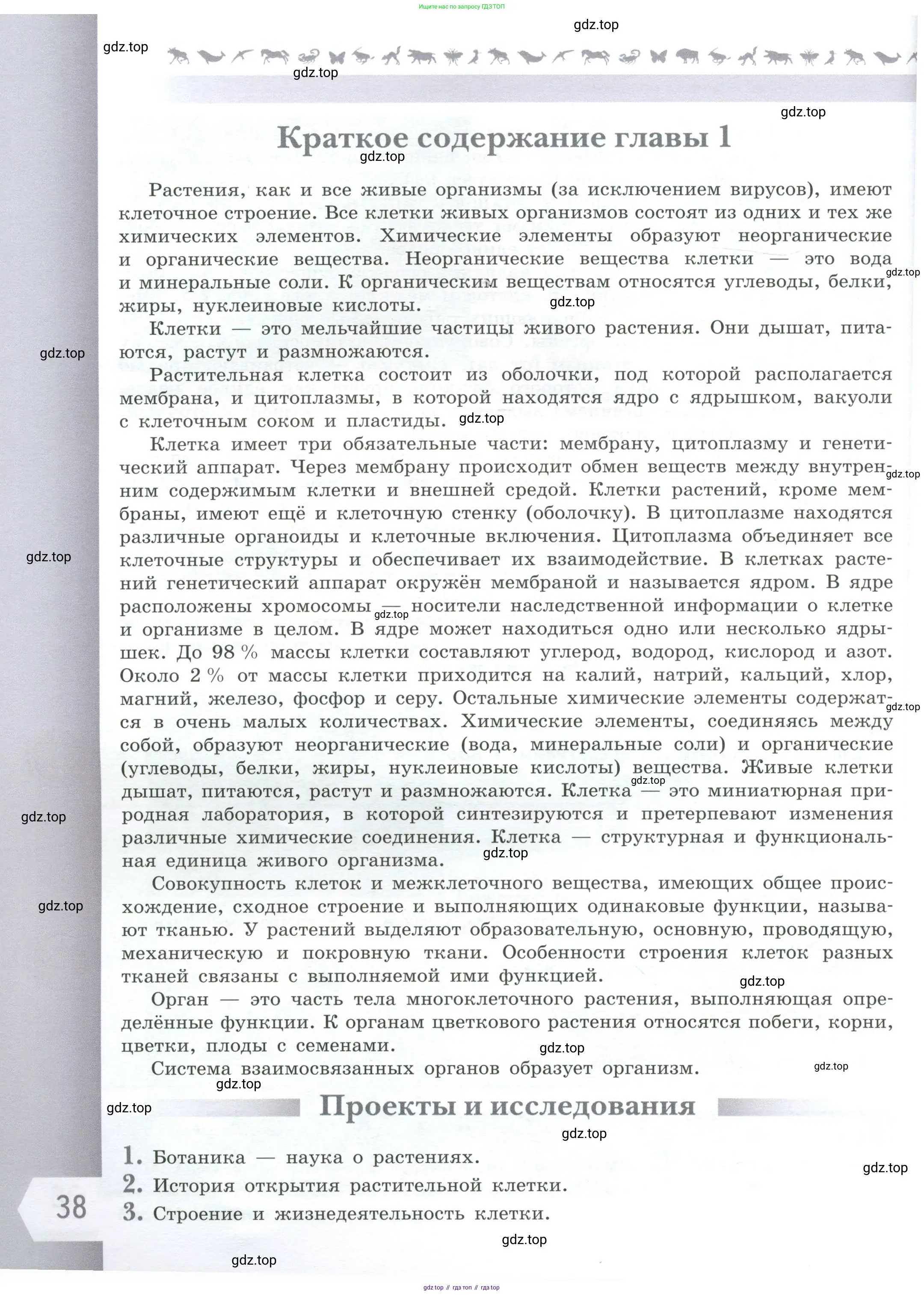 Биология, 6 класс Учебник, авторы: Пасечник Владимир Васильевич, Суматохин Сергей Витальевич, Гапонюк Зоя Георгиевна, Швецов Глеб Геннадьевич, издательство Просвещение, Москва, 2023, белого цвета, страница 38