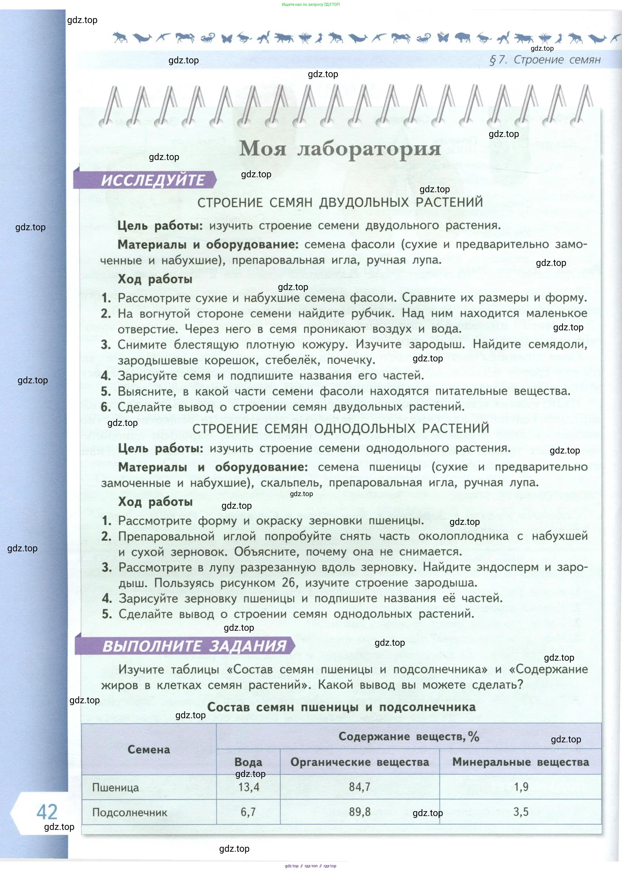 Биология, 6 класс Учебник, авторы: Пасечник Владимир Васильевич, Суматохин Сергей Витальевич, Гапонюк Зоя Георгиевна, Швецов Глеб Геннадьевич, издательство Просвещение, Москва, 2023, белого цвета, страница 42