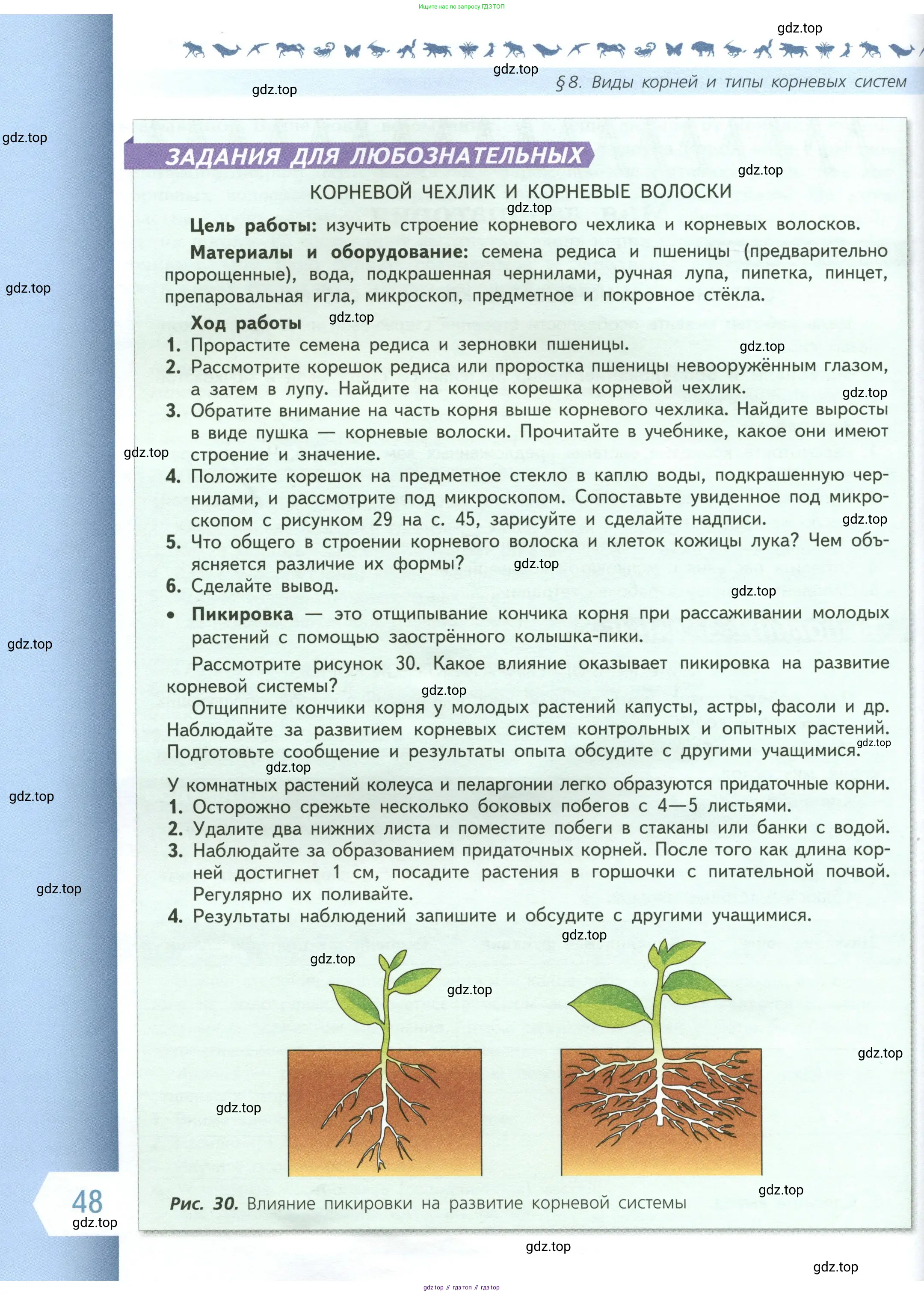 Биология, 6 класс Учебник, авторы: Пасечник Владимир Васильевич, Суматохин Сергей Витальевич, Гапонюк Зоя Георгиевна, Швецов Глеб Геннадьевич, издательство Просвещение, Москва, 2023, белого цвета, страница 48
