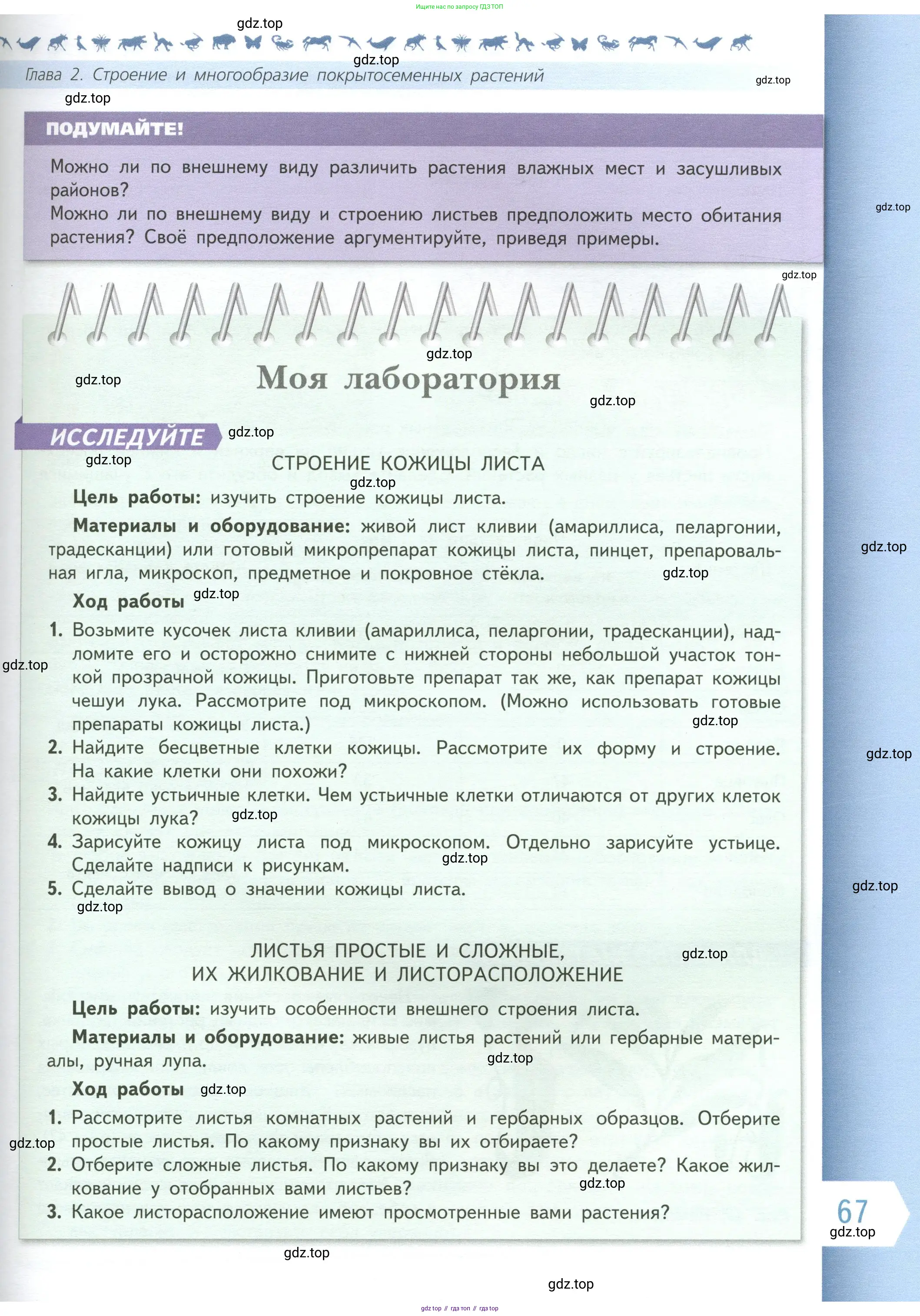 Биология, 6 класс Учебник, авторы: Пасечник Владимир Васильевич, Суматохин Сергей Витальевич, Гапонюк Зоя Георгиевна, Швецов Глеб Геннадьевич, издательство Просвещение, Москва, 2023, белого цвета, страница 67
