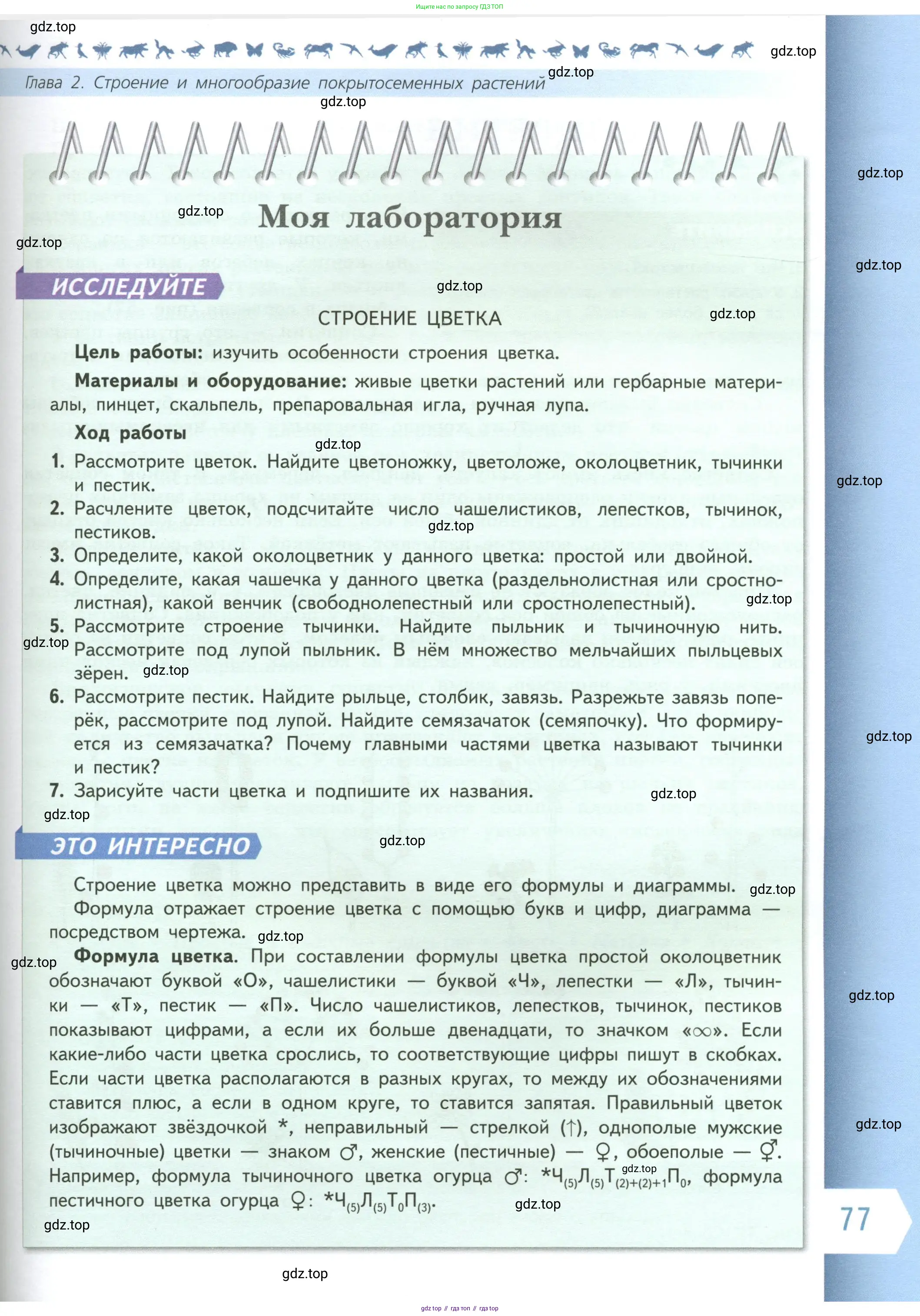 Биология, 6 класс Учебник, авторы: Пасечник Владимир Васильевич, Суматохин Сергей Витальевич, Гапонюк Зоя Георгиевна, Швецов Глеб Геннадьевич, издательство Просвещение, Москва, 2023, белого цвета, страница 77