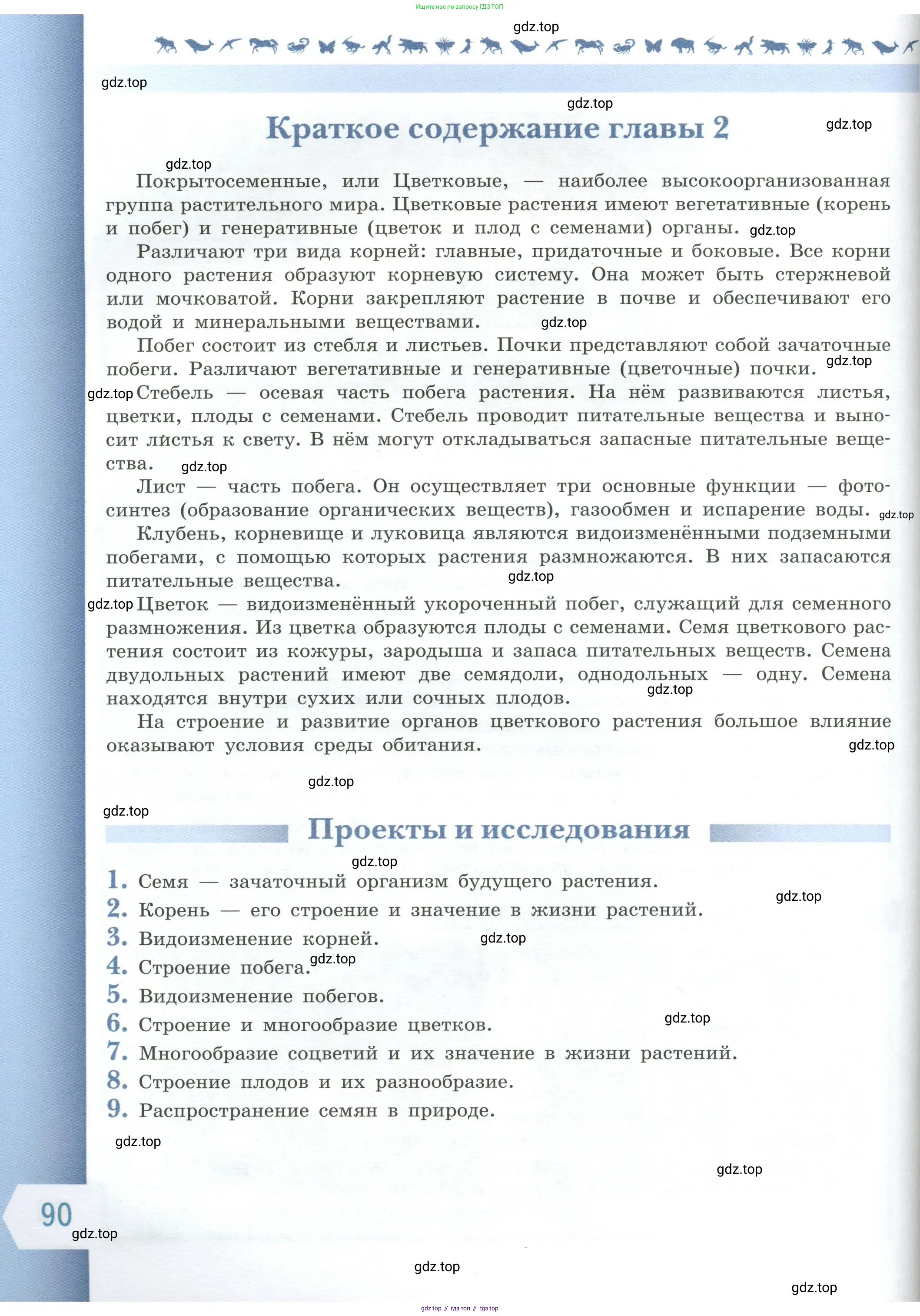 Биология, 6 класс Учебник, авторы: Пасечник Владимир Васильевич, Суматохин Сергей Витальевич, Гапонюк Зоя Георгиевна, Швецов Глеб Геннадьевич, издательство Просвещение, Москва, 2023, белого цвета, страница 90